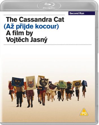 The Cassandra Cat