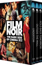 Film Noir The Dark Side of Cinema XII