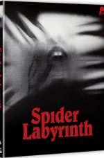 The Spider Labyrinth