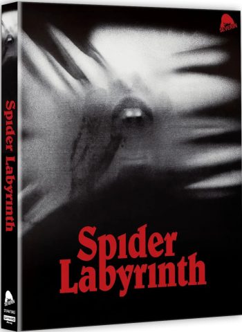 The Spider Labyrinth