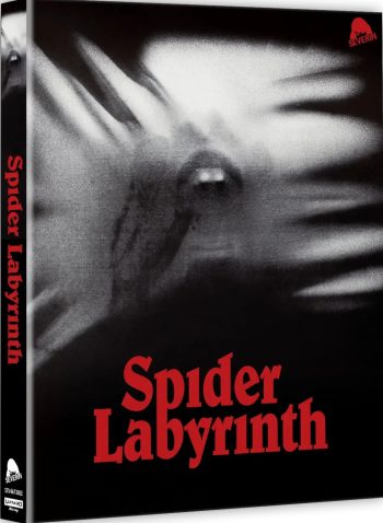 The Spider Labyrinth