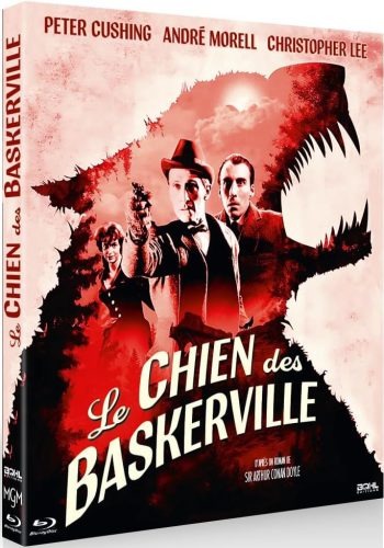 Le Chien des Baskerville