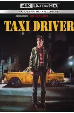 Taxi Driver