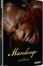 Mandingo