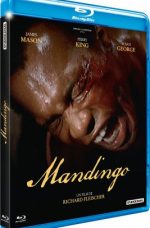 Mandingo