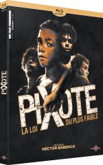 Pixote la loi du plus faible