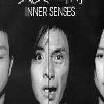 Inner Senses