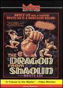 DRAGON FROM SHAOLIN