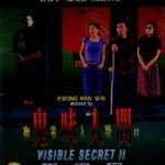 VISIBLE SECRET 2