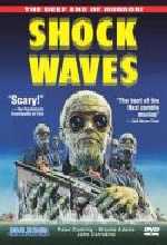 Shock Waves