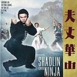 Shaolin contre ninja