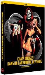 Chats Rouges dans un Labyrinthe de Verre (Blu-Ray + DVD)