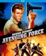 Avenging Force